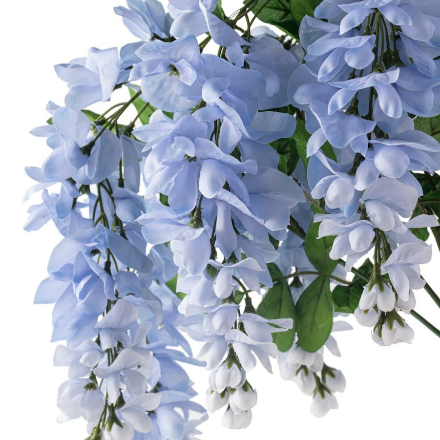 Floral * | Best Pirce Blue Wisteria Bush By Ashland