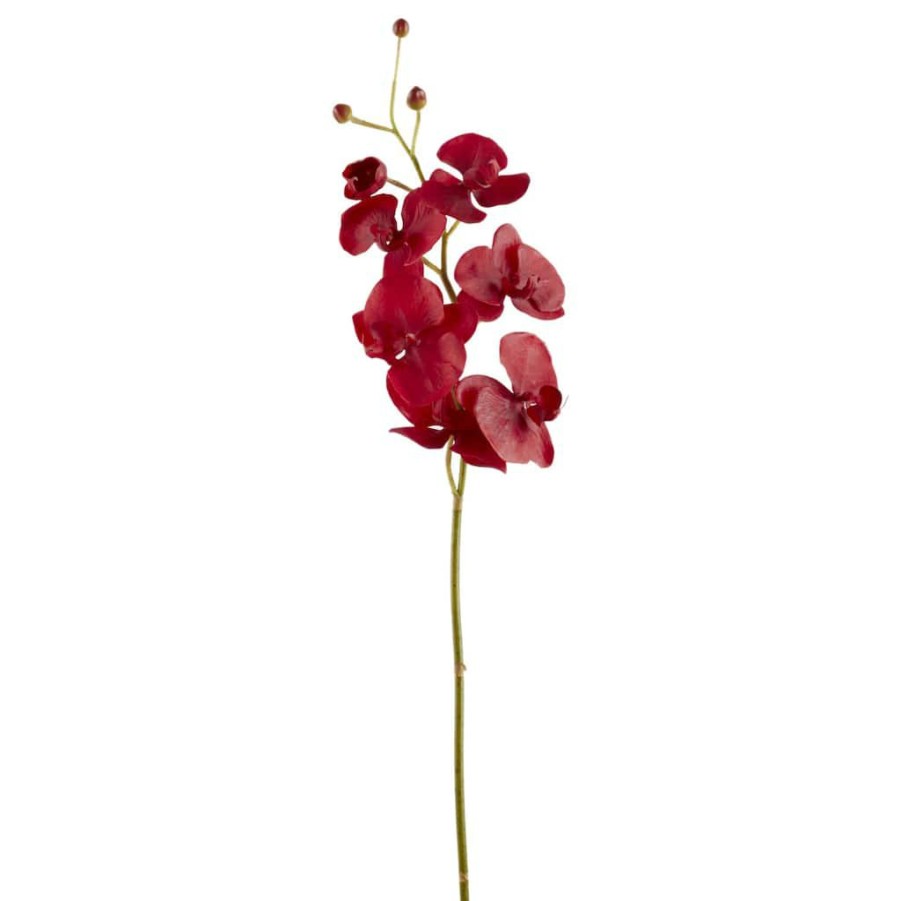 Floral * | Best Pirce 6 Pack: Red Orchid Stem By Ashland