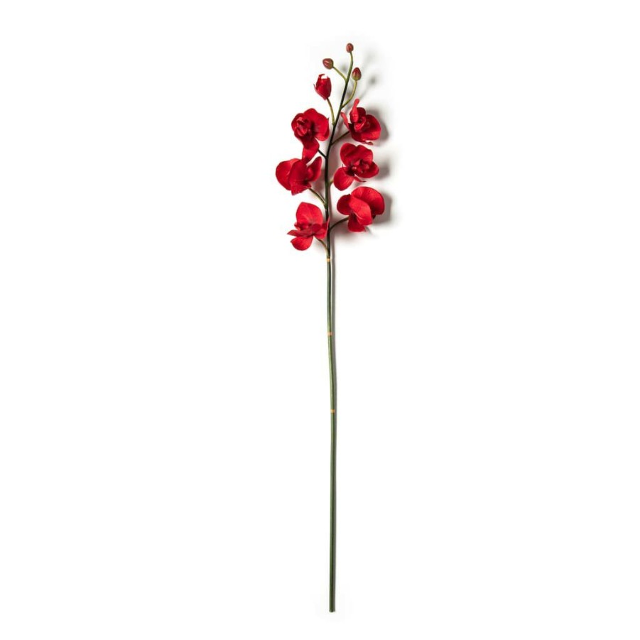 Floral * | Best Pirce 6 Pack: Red Orchid Stem By Ashland