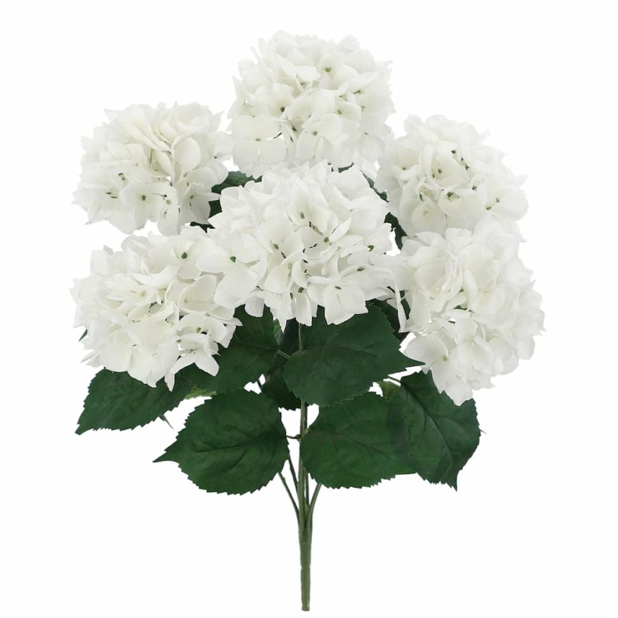 Floral * | Best Sale White Hydrangea Bush By Ashland