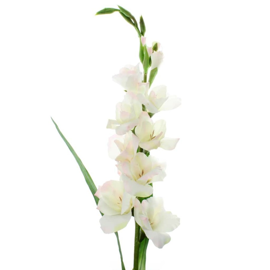 Floral * | Cheap 12 Pack: White Gladiolus Stem By Ashland