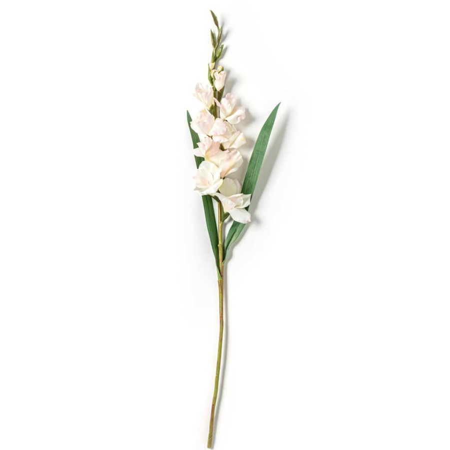 Floral * | Cheap 12 Pack: White Gladiolus Stem By Ashland