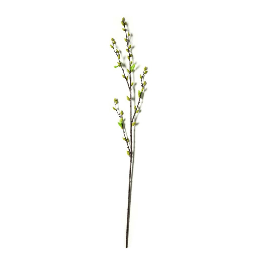 Floral * | Top 10 Green Willow Stem By Ashland