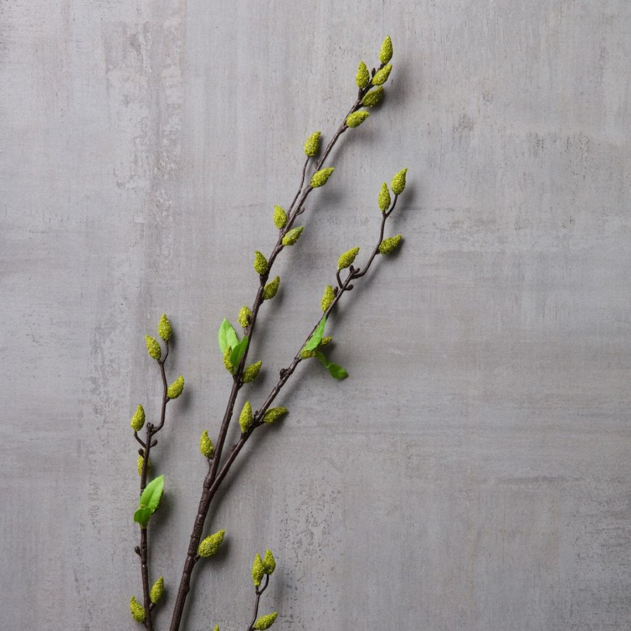 Floral * | Top 10 Green Willow Stem By Ashland