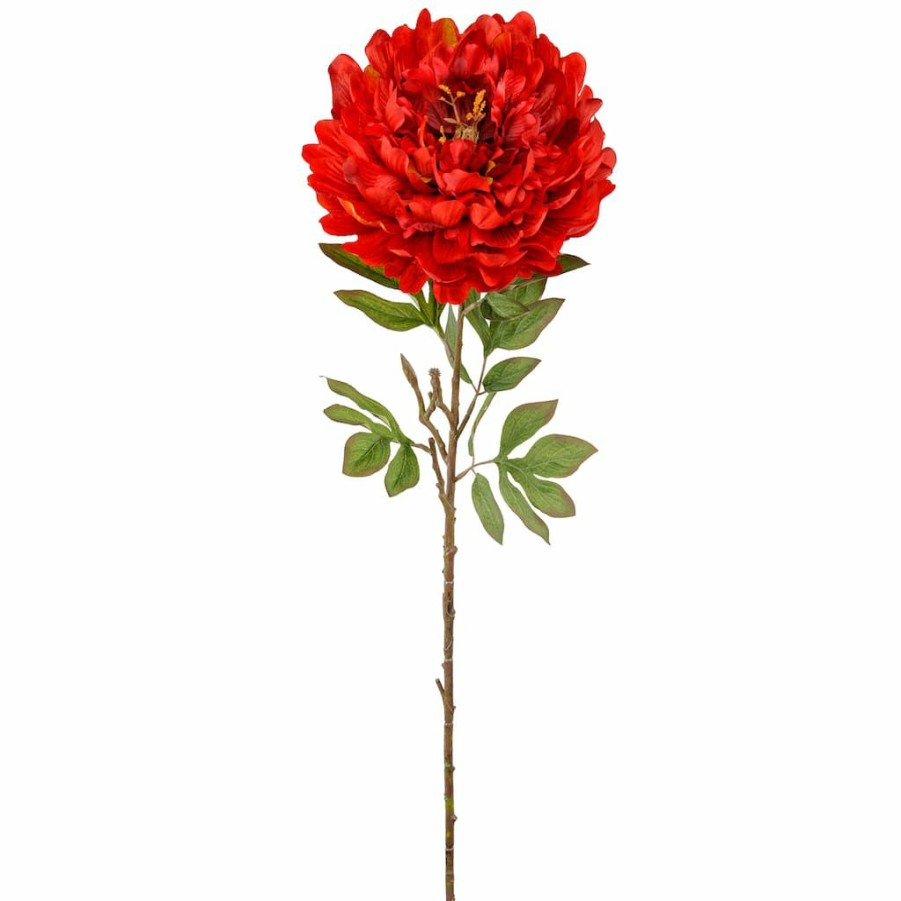 Floral * | Budget 12 Pack: Red Peony Stem By Ashland