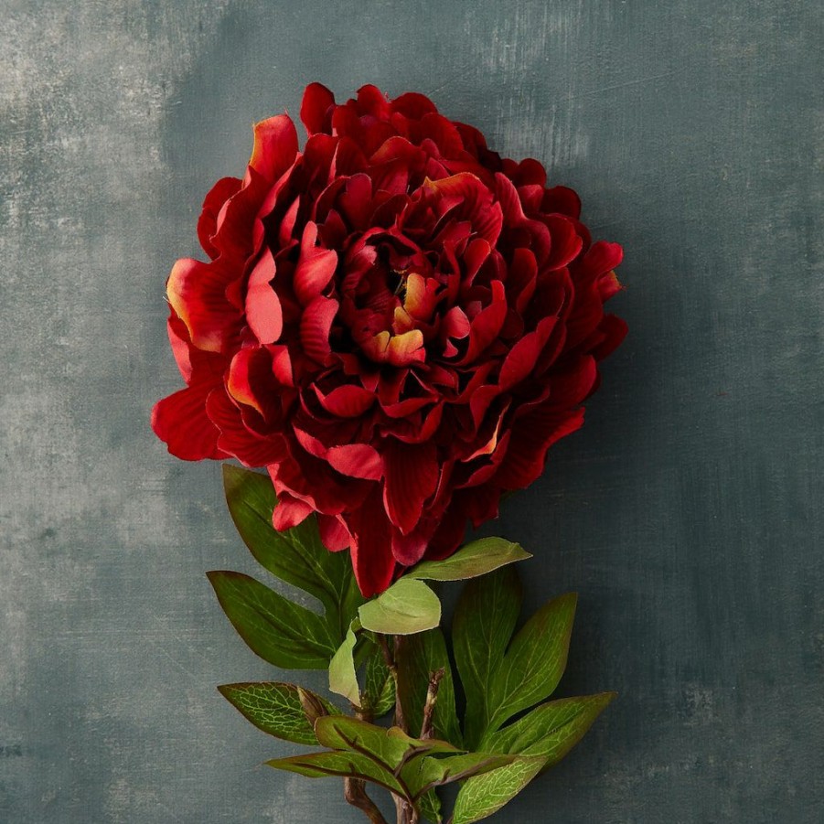 Floral * | Budget 12 Pack: Red Peony Stem By Ashland