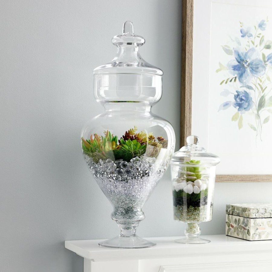 Floral * | Deals Clear Mini Discs By Ashland