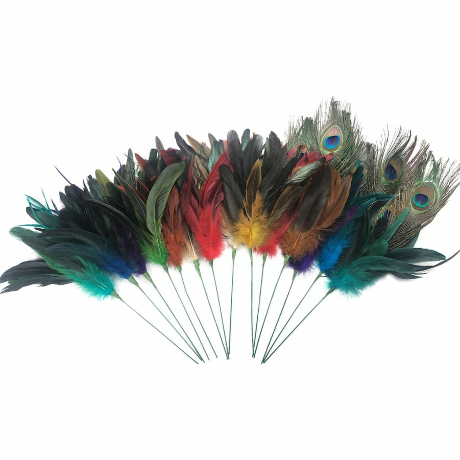 Floral * | New Assorted Colorful Feather Pick By Ashland