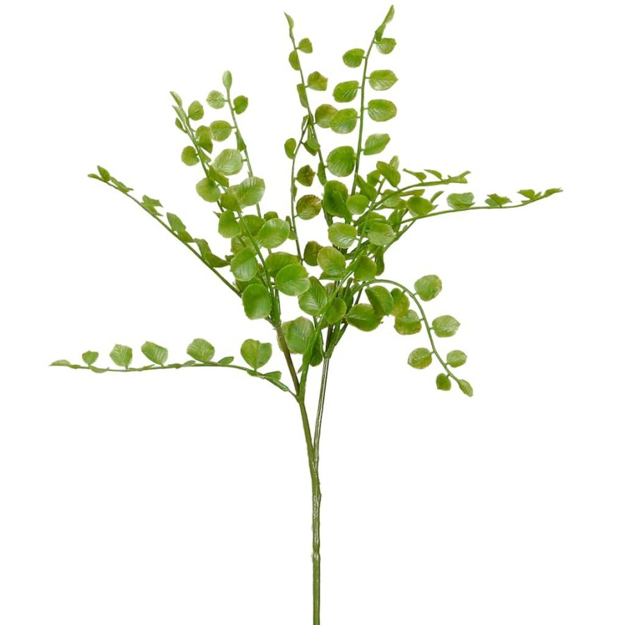 Floral * | Cheap 18 Pack: Assorted Fern Pick By Ashland