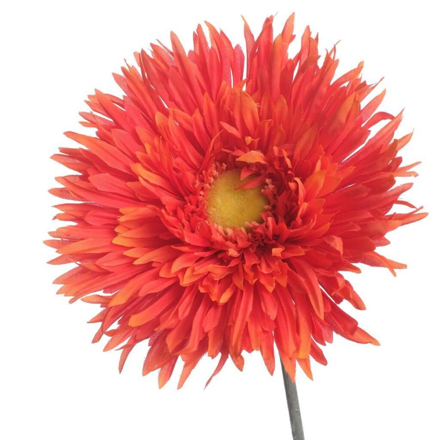 Floral * | Best Pirce 12 Pack: Orange Spider Gerbera Daisy Spray By Ashland