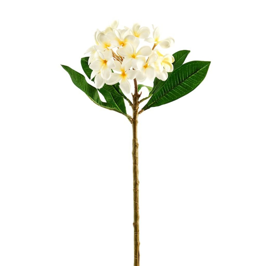 Floral * | Deals 12 Pack: White Frangipani Stem By Ashland