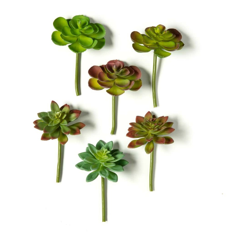 Floral * | Wholesale Assorted Snap-On Succulent Pick By Ashland