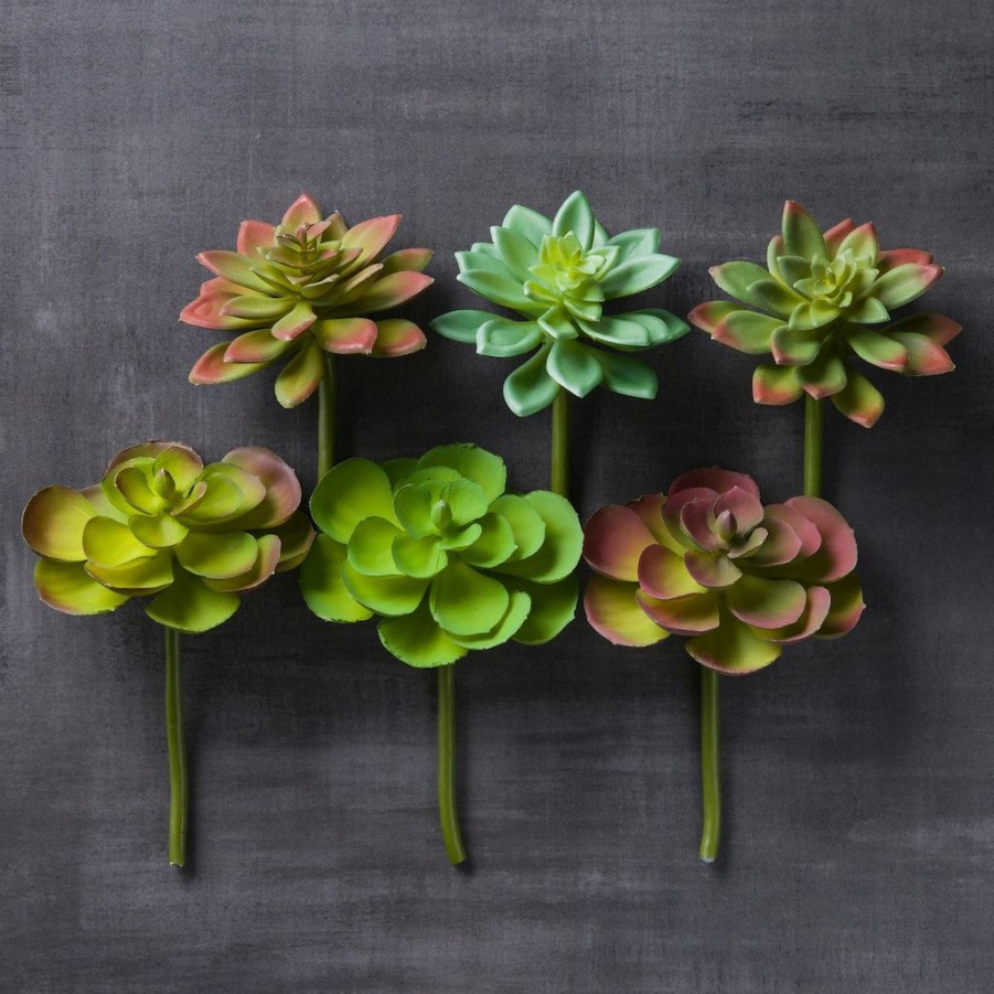 Floral * | Wholesale Assorted Snap-On Succulent Pick By Ashland