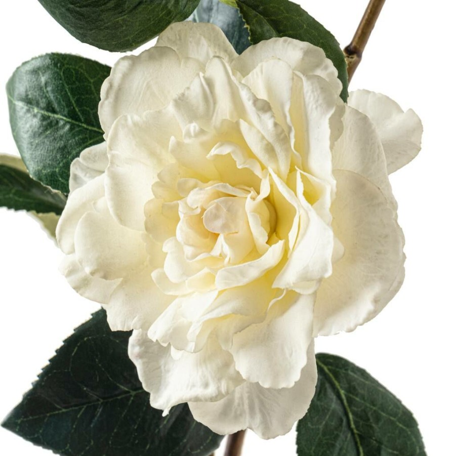 Floral * | Coupon 6 Pack: White Camellia Spray By Ashland