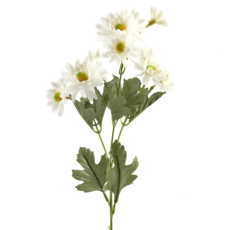 Floral * | Best Pirce 24 Pack: White Aster Daisy Spray By Ashland