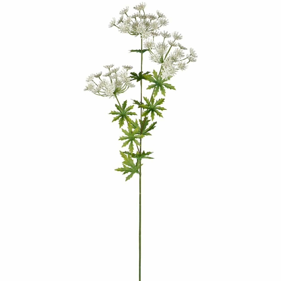 Floral * | Flash Sale 12 Pack: White Queen Anne'S Lace Spray By Ashland