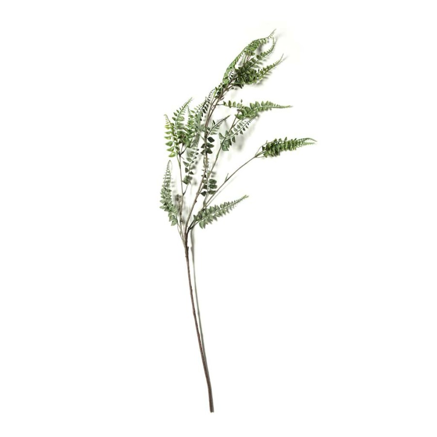 Floral * | Cheap Green Fern Leaf Stem Spray By Ashland