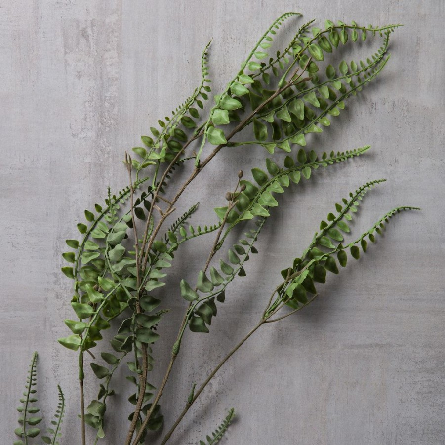 Floral * | Cheap Green Fern Leaf Stem Spray By Ashland