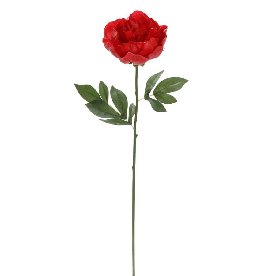 Floral * | Top 10 6 Pack: Red Peony Stem By Ashland