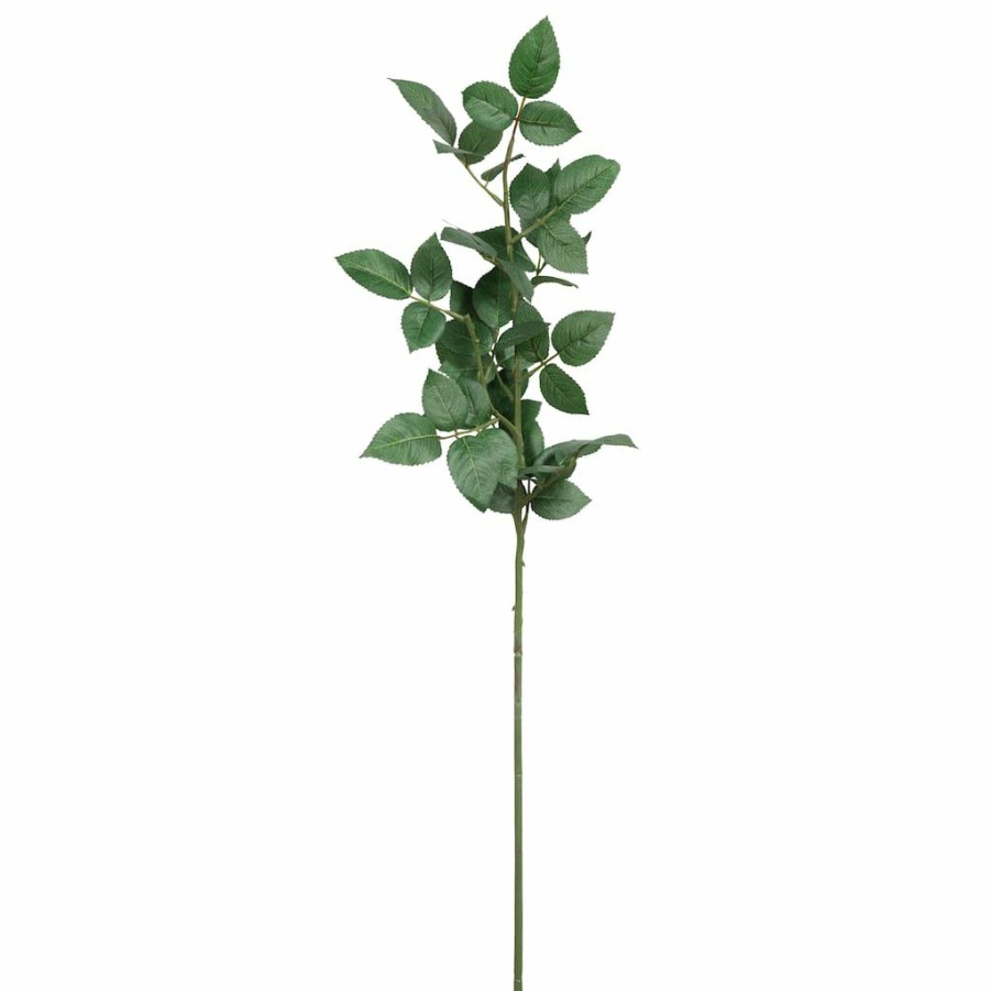 Floral * | Top 10 12 Pack: Rose Leaf Stem By Ashland