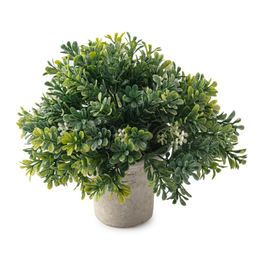 Floral * | Cheapest Premade Boxwood Bush By Ashland