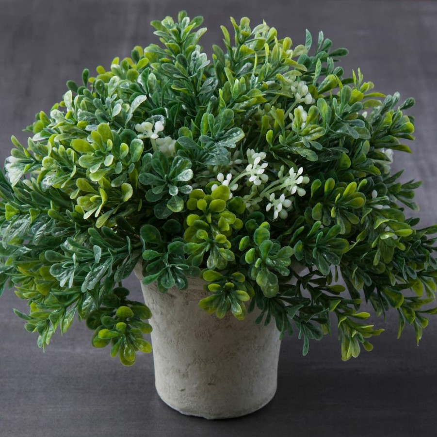 Floral * | Cheapest Premade Boxwood Bush By Ashland