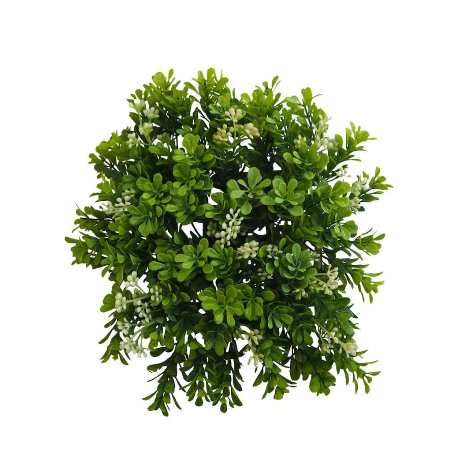 Floral * | Hot Sale 8 Pack: Green Boxwood Bush By Ashland