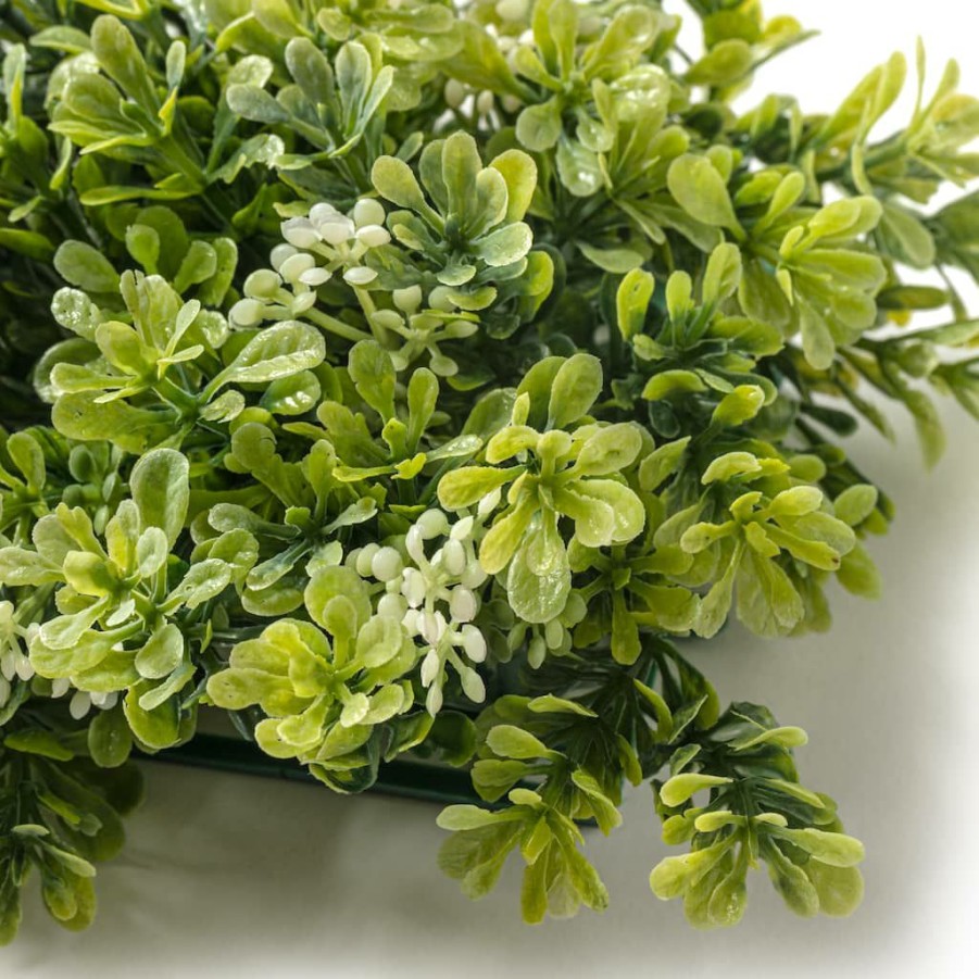 Floral * | Hot Sale 8 Pack: Green Boxwood Bush By Ashland