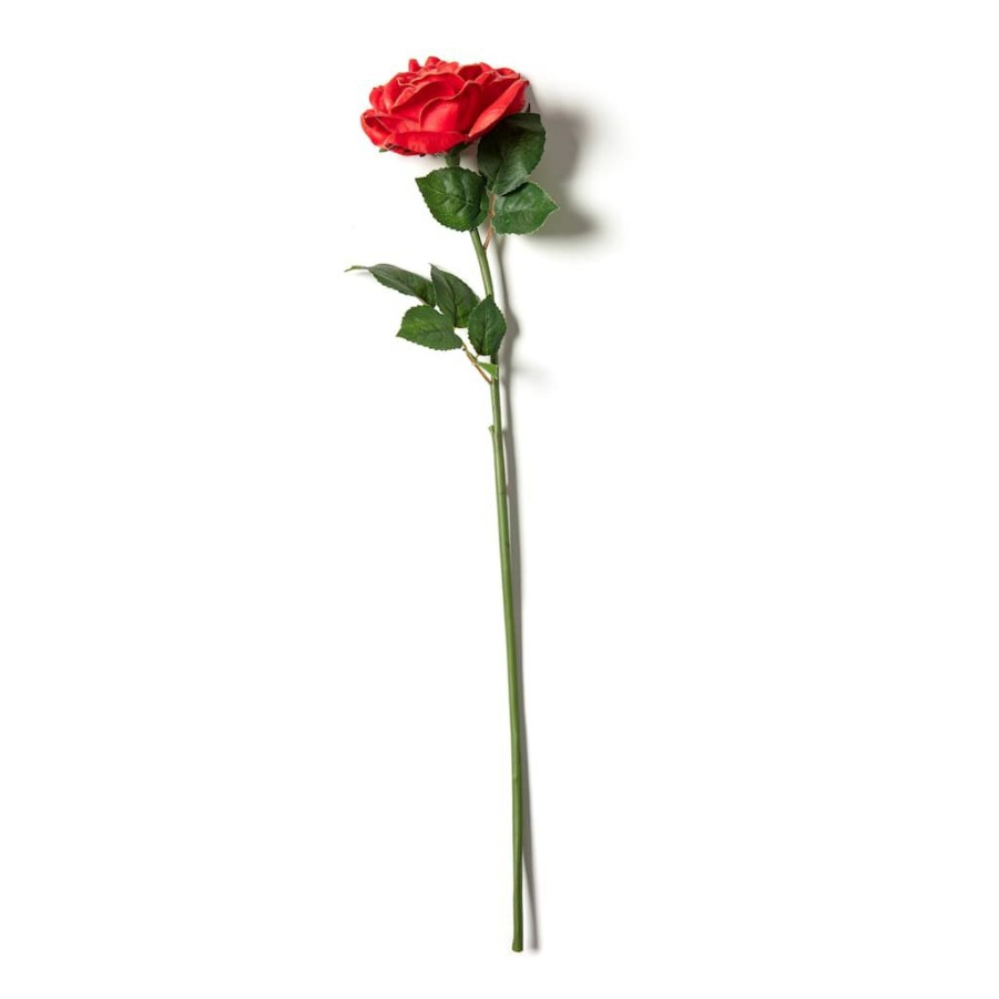 Floral * | Top 10 Red Rose Stem By Ashland