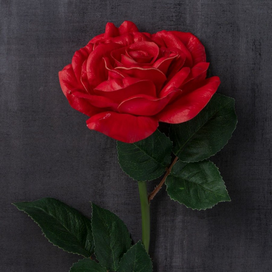 Floral * | Top 10 Red Rose Stem By Ashland