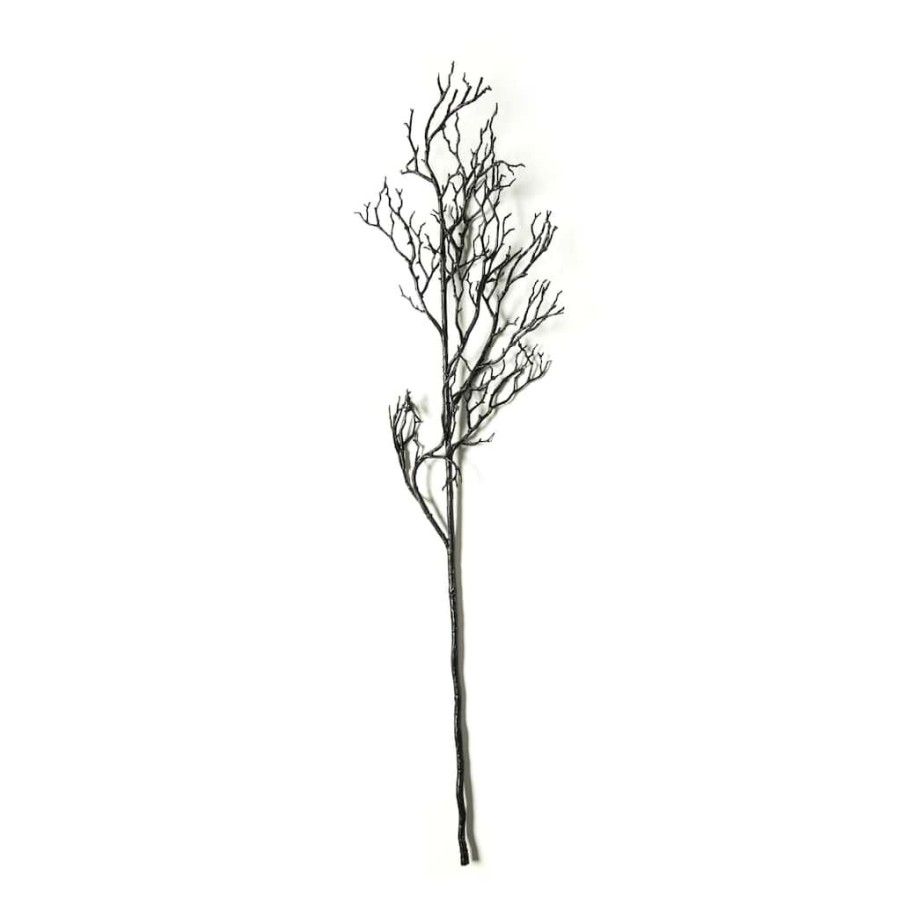 Floral * | New Black Bare Branch Stem By Ashland