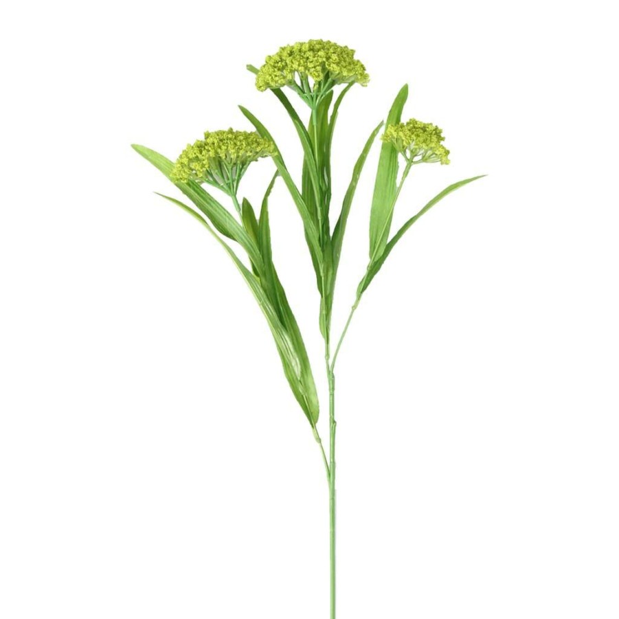 Floral * | Hot Sale 12 Pack: Green Queen Anne'S Lace Spray By Ashland