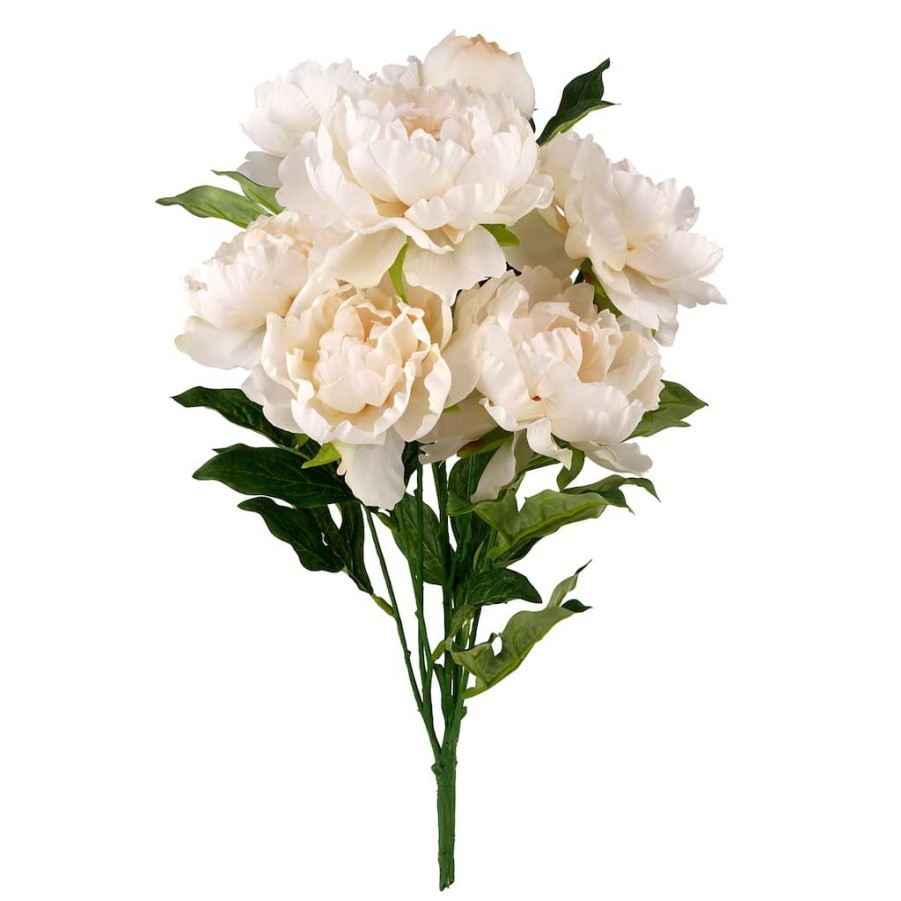 Floral * | Best Sale Cream Peony Bush By Ashland