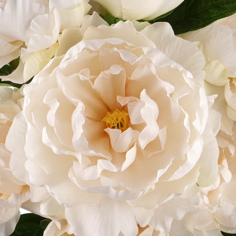 Floral * | Best Sale Cream Peony Bush By Ashland