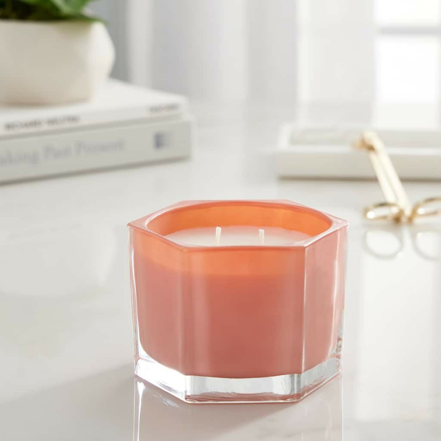 Home & Decor * | Coupon Rose & Saffron 2-Wick Jar Candle By Ashland