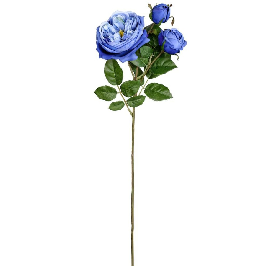 Floral * | Budget 12 Pack: Blue English Rose Stem By Ashland