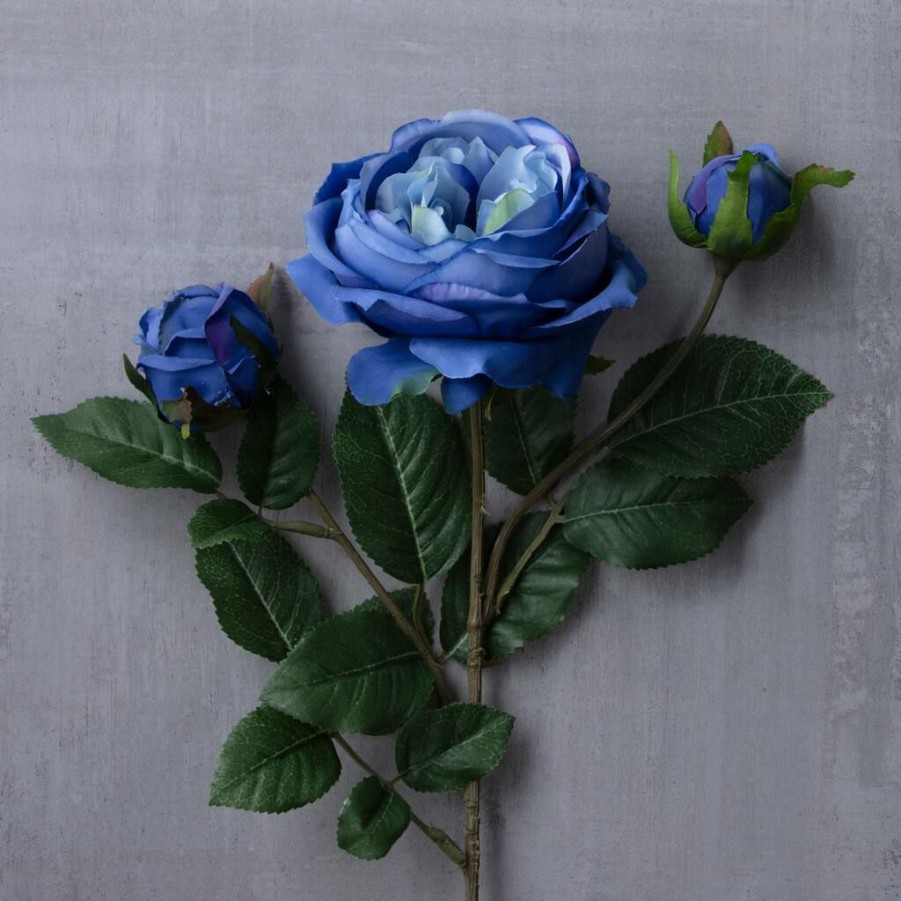 Floral * | Budget 12 Pack: Blue English Rose Stem By Ashland