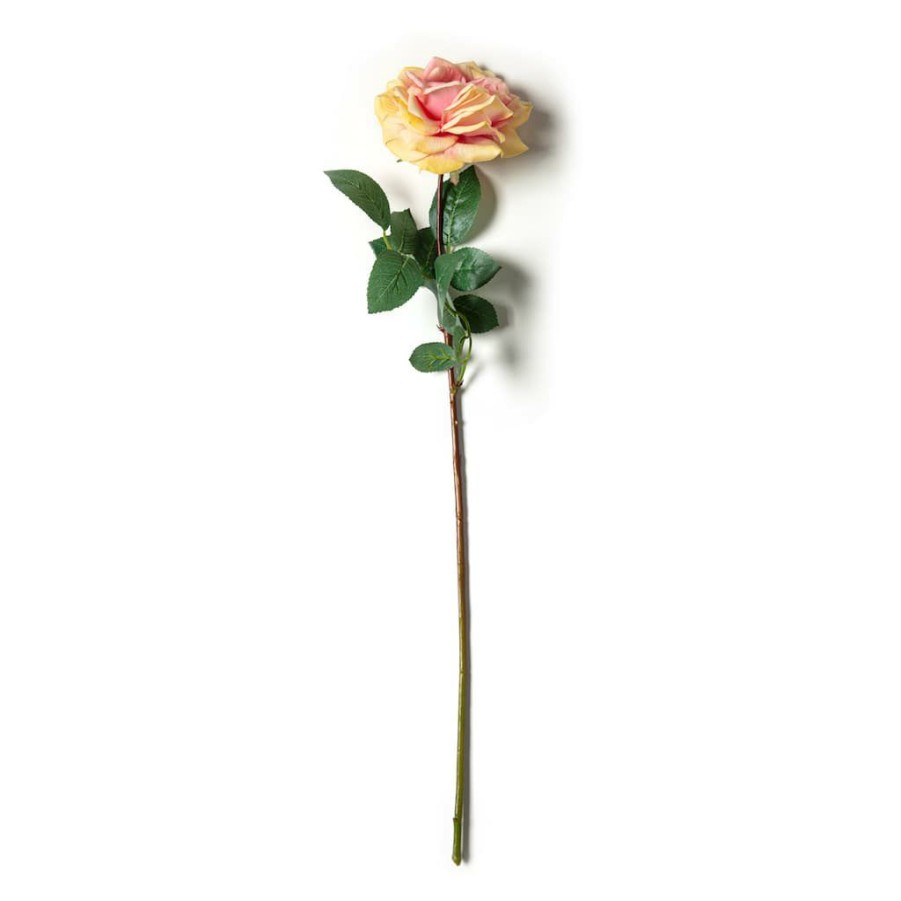 Floral * | Flash Sale Orlane Rose Stem By Ashland