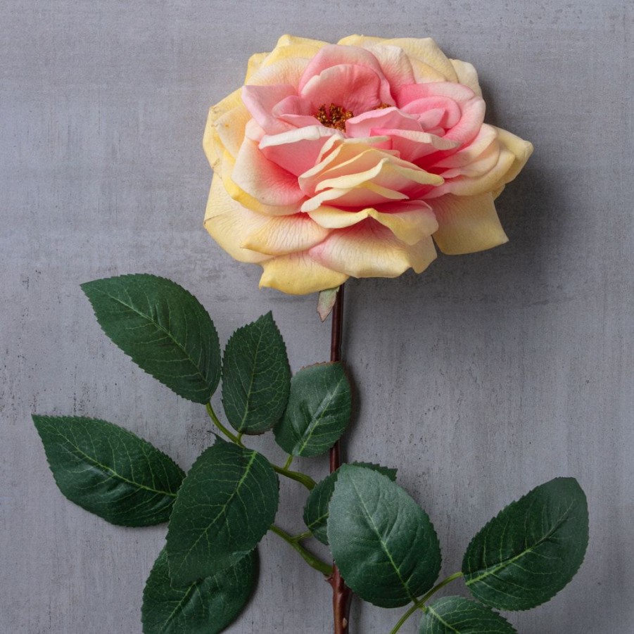 Floral * | Flash Sale Orlane Rose Stem By Ashland