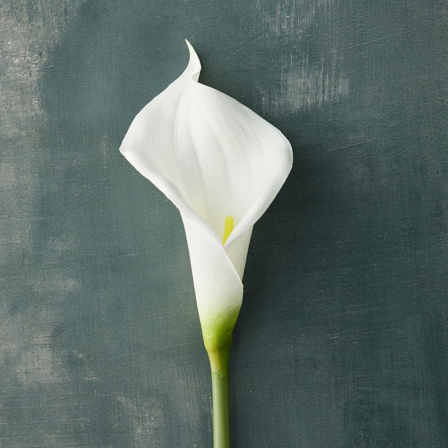 Floral * | Outlet White Calla Lily Stem By Ashland