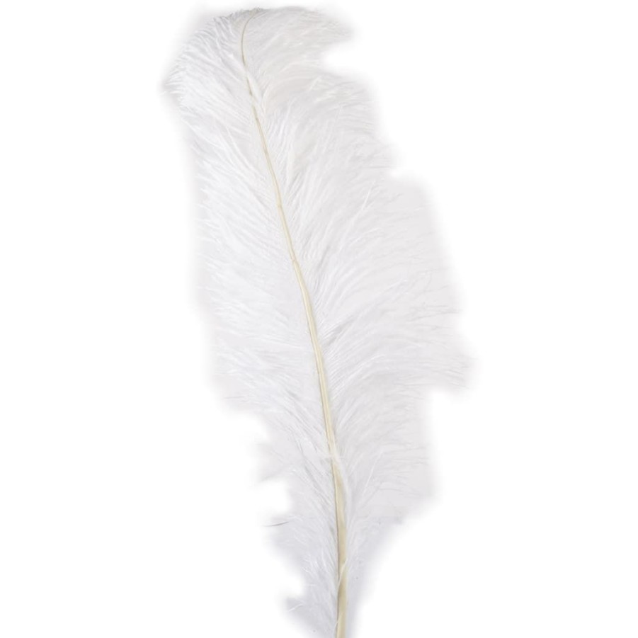 Floral * | Wholesale Ashland Feather, Ostrich, Ivory