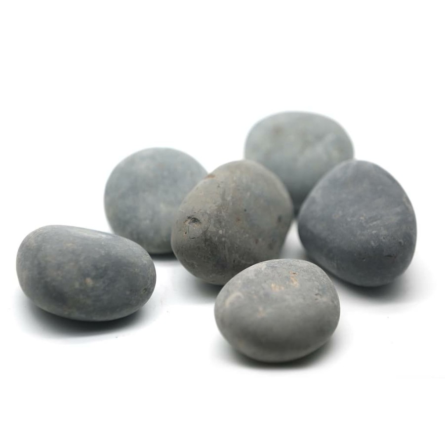 Floral * | Cheap 16 Pack: Large Washed Black Stones By Ashland