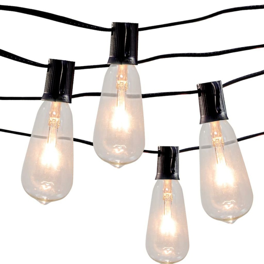 Home & Decor * | Promo 10Ct. Edison St12 Bulb String Lights By Ashland