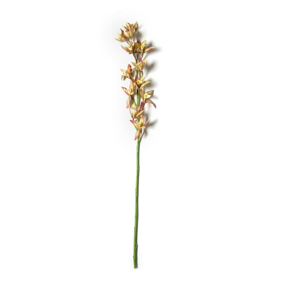 Floral * | Hot Sale Tropical Cymbidium Stem By Ashland