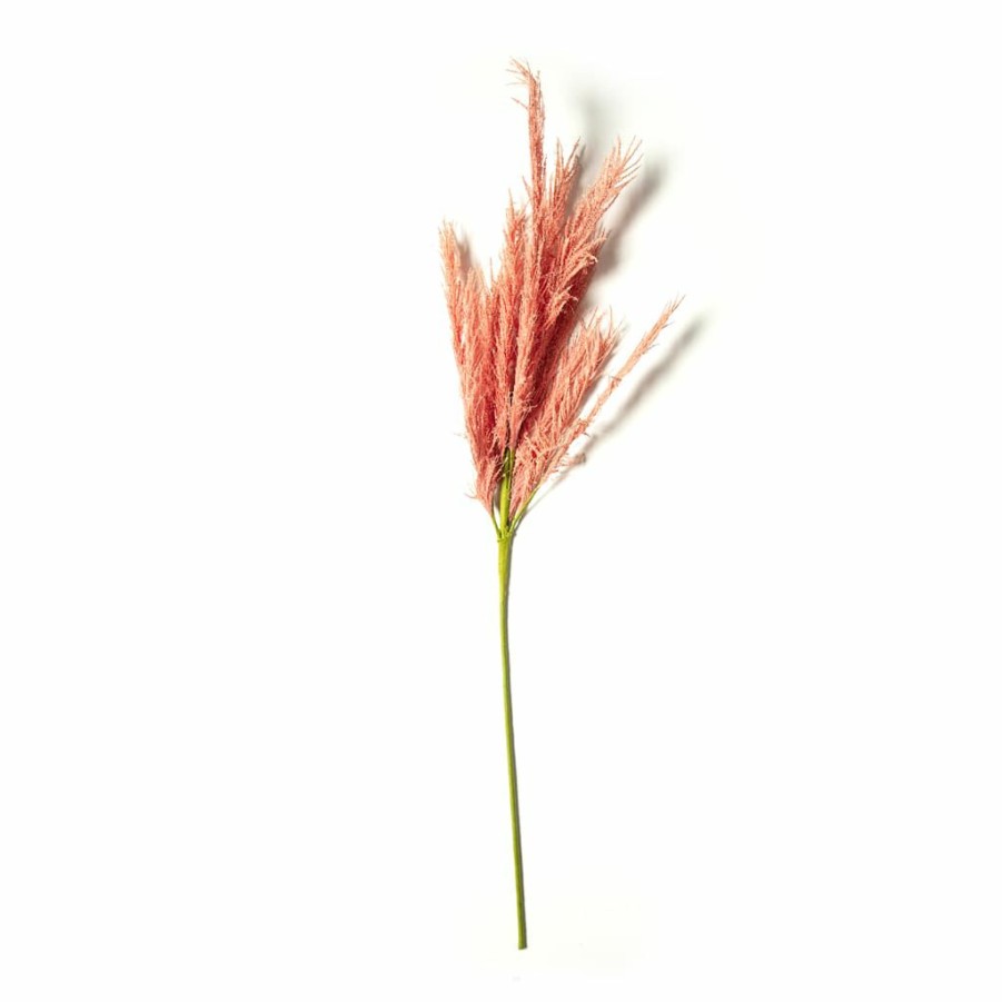 Floral * | Promo Peach Pampas Grass Stem By Ashland