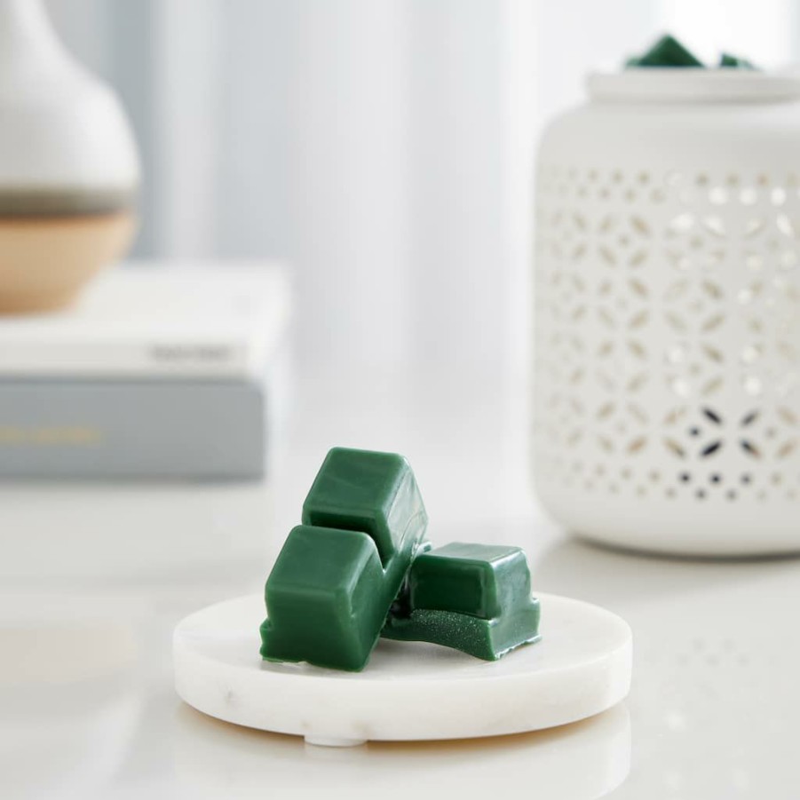 Home & Decor * | Coupon Eucalyptus & Sage Wax Melts By Ashland