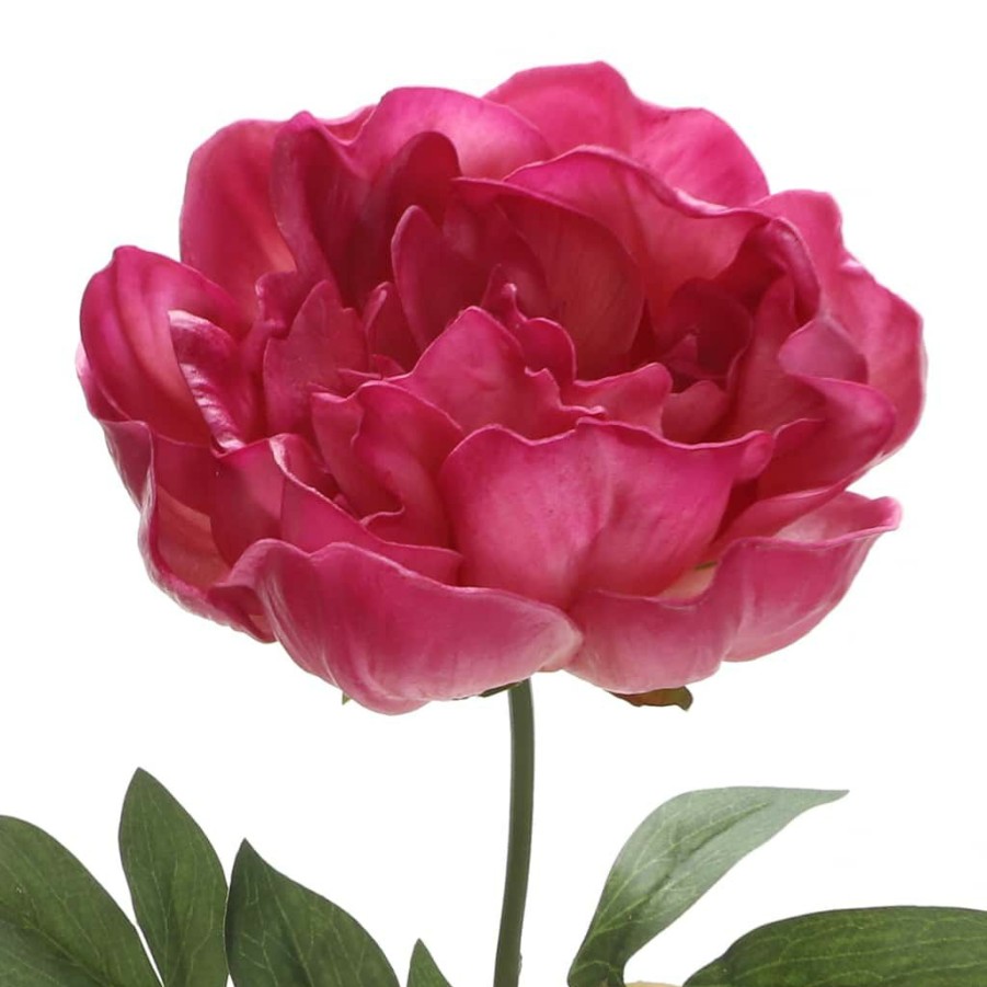 Floral * | Best Reviews Of 6 Pack: Fuchsia Peony Stem By Ashland