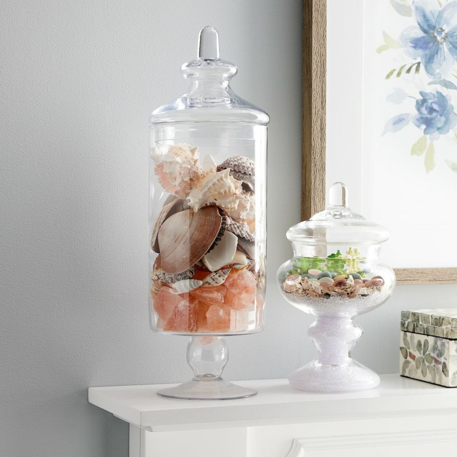 Floral * | Coupon Glass Apothecary Jar By Ashland