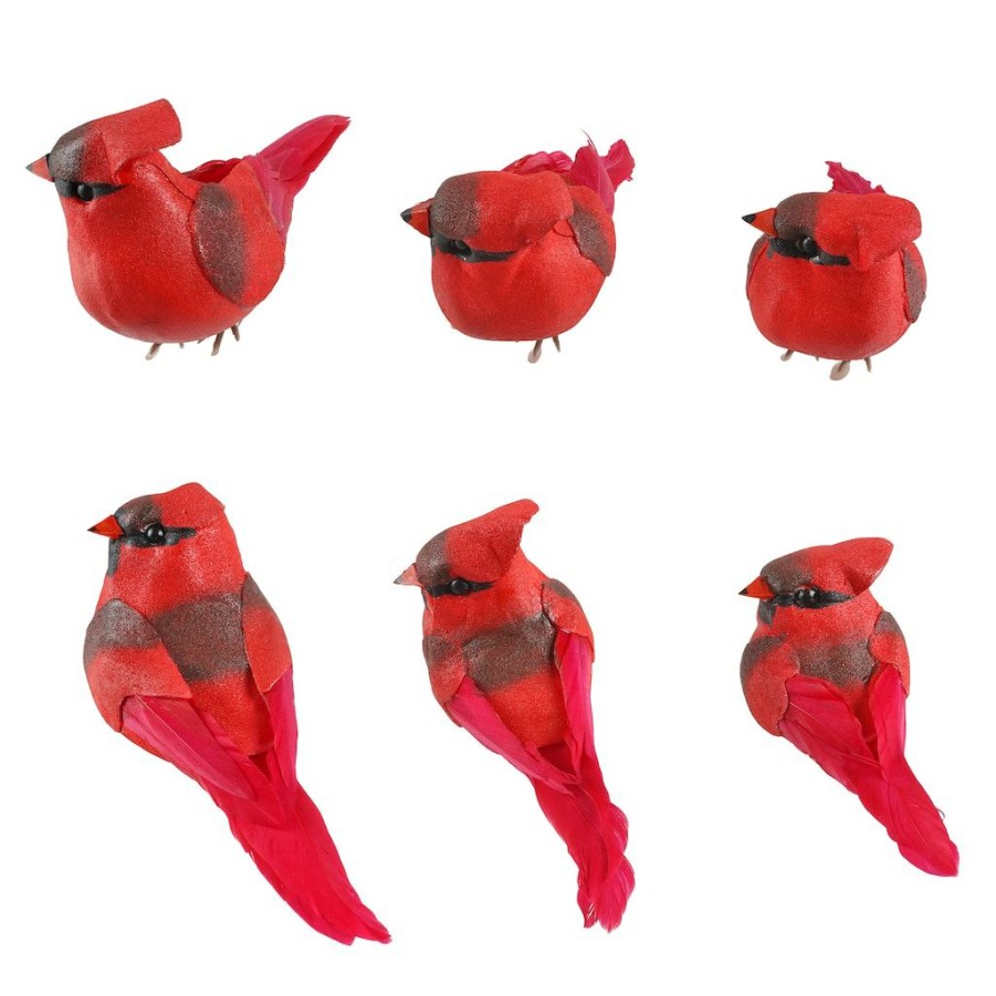 Floral * | Brand New 8 Packs: 6 Ct. (48 Total) Red Cardinal Set By Ashland