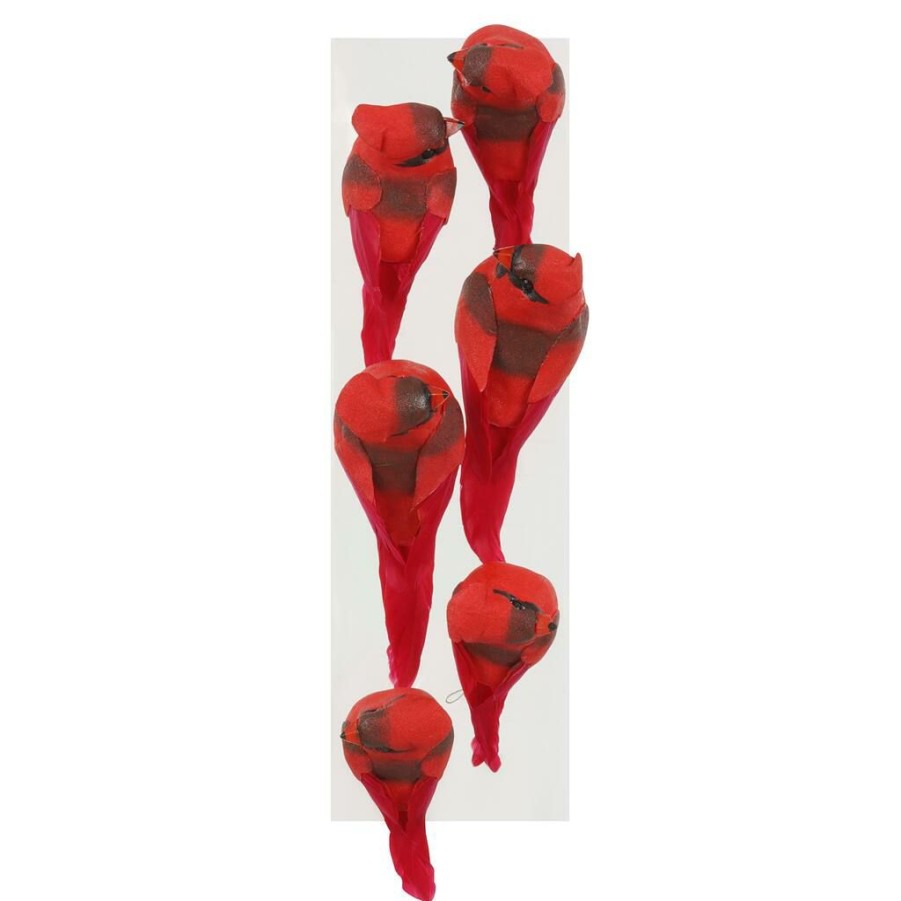 Floral * | Brand New 8 Packs: 6 Ct. (48 Total) Red Cardinal Set By Ashland